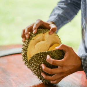 Buahdurian